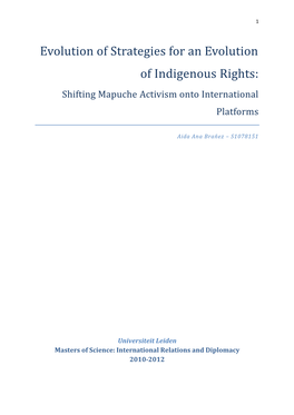 Evolution of Strategies for an Evolution of Indigenous Rights: Shifting Mapuche Activism Onto International Platforms