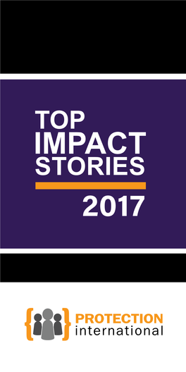 2017 Impact Stories