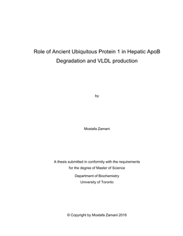 Role of Ancient Ubiquitous Protein 1 in Hepatic Apob Degradation and VLDL Production