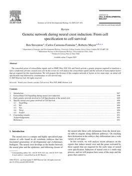 Genetic Network During Neural Crest Induction: from Cell Specification to Cell Survival