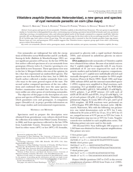 Vittatidera Zeaphila (Nematoda: Heteroderidae), a New Genus and Species of Cyst Nematode Parasitic on Corn (Zea Mays)