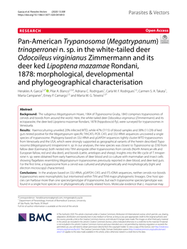 Pan-American Trypanosoma (Megatrypanum) Trinaperronei N. Sp