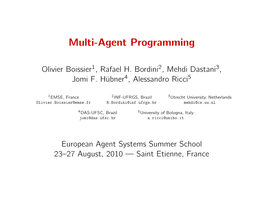 Multi-Agent Programming at EASSS 2010