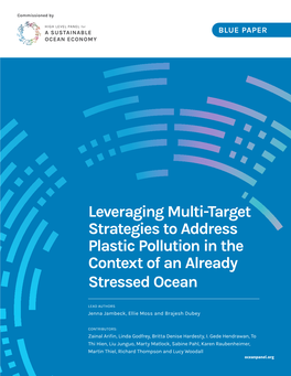 Leveraging Multi-Target Strategies to Address Plastic Pollution in the Context of an Already Stressed Ocean