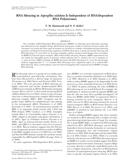 RNA Silencing in Aspergillus Nidulans Is Independent of RNA-Dependent RNA Polymerases