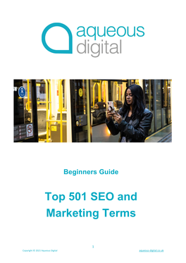 Top 501 SEO and Marketing Terms