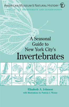 A Seasonal Guide to New York City's Invertebrates