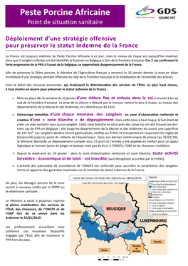 Peste Porcine Africaine GRAND EST Point De Situation Sanitaire