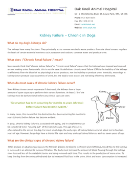 Kidney Failure - Chronic in Dogs