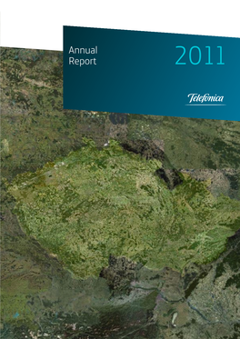Annual Report 2011 Content