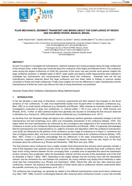 Fluid Mechanics, Sediment Transport and Mixing About the Confluence of Negro and Solimões Rivers, Manaus, Brazil