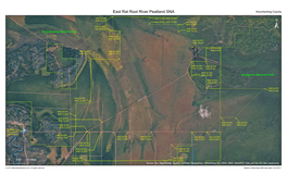 East Rat Root River Peatland SNA Koochiching County