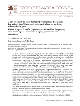 A New Species of the Genus Ecphylus (Hymenoptera: Braconidae