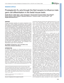 Prostaglandin D2 Acts Through the Dp2 Receptor to Influence Male Germ Cell Differentiation in the Foetal Mouse Testis