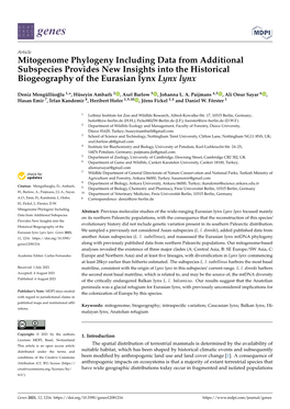 Mitogenome Phylogeny Including Data from Additional Subspecies Provides New Insights Into the Historical Biogeography of the Eurasian Lynx Lynx Lynx