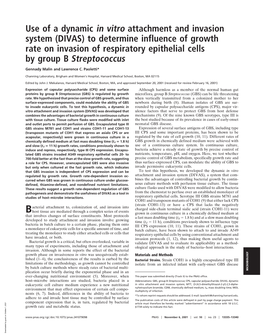 DIVAS) to Determine Influence of Growth Rate on Invasion of Respiratory Epithelial Cells by Group B Streptococcus