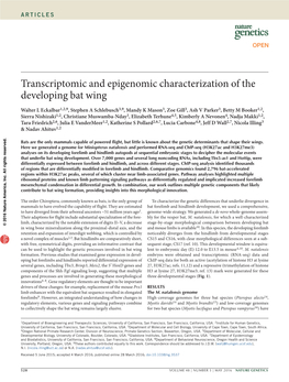 Transcriptomic and Epigenomic Characterization of the Developing Bat Wing