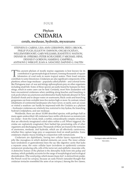 CNIDARIA Corals, Medusae, Hydroids, Myxozoans