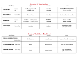 Muscles of Mastication Muscles That Move the Head