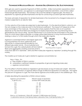 Agarose Gels (Horizontal Gel Electrophoresis)