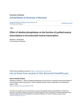 Effect of Alkaline Phosphatase on the Function of Purified Reverse Transcriptase in Reconstructed Reverse Transcription (116 Pp) Director: Kenneth F