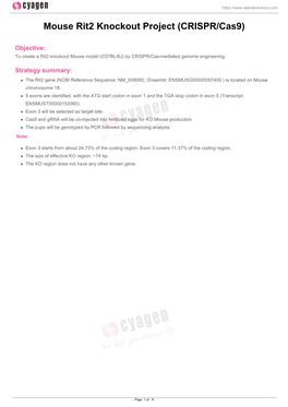 Mouse Rit2 Knockout Project (CRISPR/Cas9)