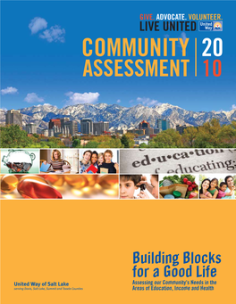 Building Blocks for a Good Life Assessing Our Community’S Needs in the Areas of Education, Income and Health TABLE of CONTENTS