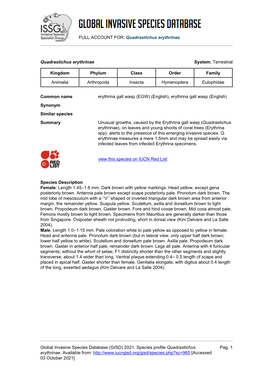 FULL ACCOUNT FOR: Quadrastichus Erythrinae Global Invasive Species Database (GISD) 2021. Species Profile Quadrastichus Erythrina