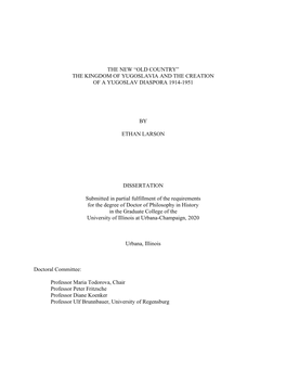 LARSON-DISSERTATION-2020.Pdf