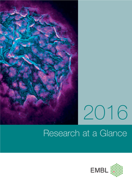 Research at a Glance 2016 Contents