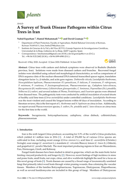 A Survey of Trunk Disease Pathogens Within Citrus Trees in Iran