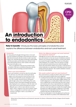 An Introduction to Endodontics