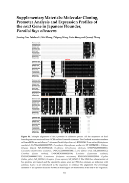 Molecular Cloning, Promoter Analysis and Expression Profiles of the Sox3 Gene in Japanese Flounder, Paralichthys Olivaceus