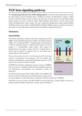 TGF Beta Signaling Pathway 1 TGF Beta Signaling Pathway