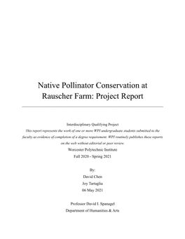 Native Pollinator Conservation at Rauscher Farm: Project Report ______