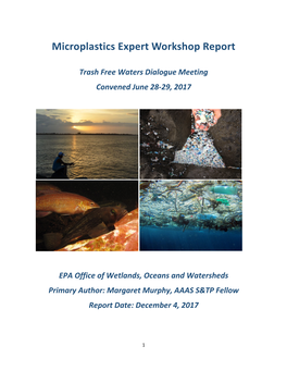 Microplastics Expert Workshop Report