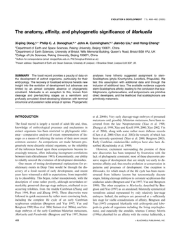 The Anatomy, Affinity, and Phylogenetic Significance of Markuelia