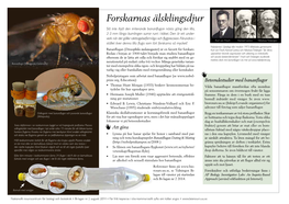 September: Forskarnas Älsklingsdjur