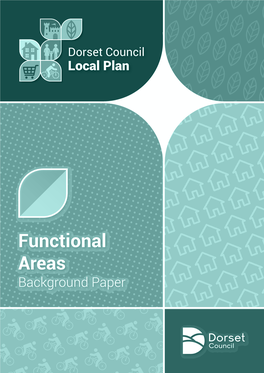 DCLP Jan 2021 Functional Areas Background Paper