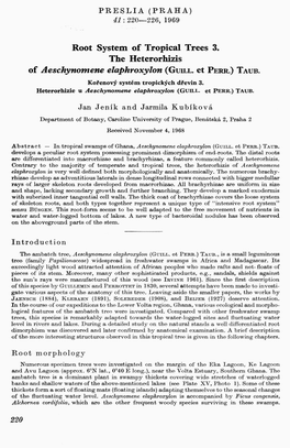 Root System of Tropical Trees 3. the Heterorhizis of Aeschynomene Elaphroxylon (GUILL