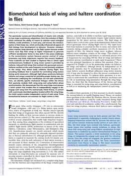 Biomechanical Basis of Wing and Haltere Coordination in Flies