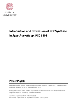 Introduction and Expression of PEP Synthase in Synechocystis Sp. PCC 6803