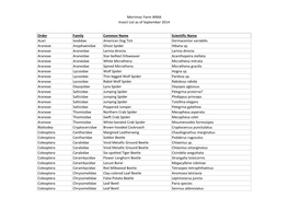 Merrimac Farm WMA Insect List As of September 2014 Order Family