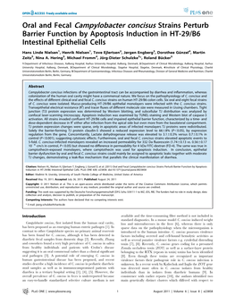 Oral and Fecal Campylobacter Concisus Strains Perturb Barrier Function by Apoptosis Induction in HT-29/B6 Intestinal Epithelial Cells