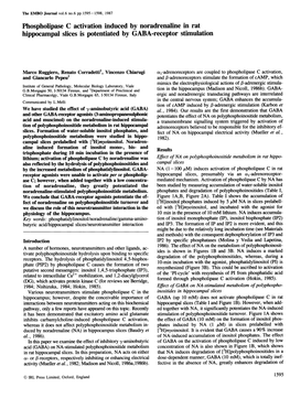 Phospholipase C Activation Inducedby Noradrenaline In