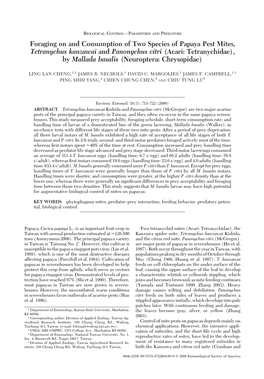 Foraging on and Consumption of Two Species of Papaya Pest Mites