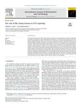 The Role of SRC Family Kinases in FLT3 Signaling T ⁎ Julhash U