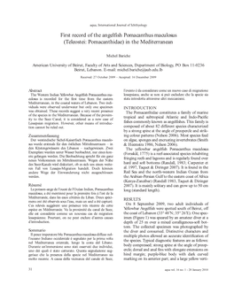 First Record of the Angelfish Pomacanthus Maculosus (Teleostei: Pomacanthidae) in the Mediterranean