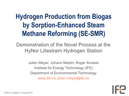 Hydrogen Production from Biogas by Sorption-Enhanced Steam Methane Reforming (SE-SMR)