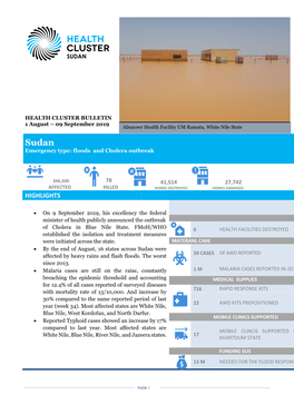 Sudan Health Cluster Bulletin (August 2019)